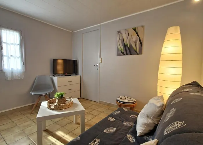 St Georges De Didonne - Agreable Petite Maison Avec Cour - 1 * Saint-Georges-de-Didonne